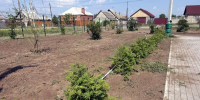 Подростки Алтайского района приступили к работе в трудовых отрядах - ИА Хакасия