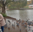 В старости пригодятся не друзья, не дети, не муж и не жена, а эти 4 вещи - полезно узнать молодым и старым - ProGorod.Ru