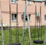 Заведующая орловским клубом почти год не получала зарплату - OrelGrad.Ru