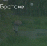 Поделитья во ВКонтакте - Братская Студия Телевидения