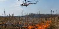 Фото: Alexander Khitrov/Shutterstock/Fotodom - Ямал-Медиа