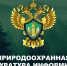 С 1 сентября 2026 г. обновляются правила пожарной безопасности в лесах.. - Алейский район