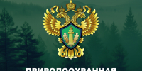 С 1 сентября 2026 г. обновляются правила пожарной безопасности в лесах.. - Алейский район