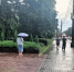 В Челябинской области ожидаются дожди - Южноуральская панорама