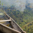 Фото: Gyvafoto/Shutterstock/Fotodom - Ямал-Медиа