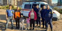 Трёхлетняя девочка потерялась в поле подсолнухов в воронежском Шилово - ГТРК Воронеж