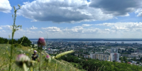 В Саратовской области ожидается резкое потепление: столбик термометра повысится до 33 градусов - ИА Версия-Саратов