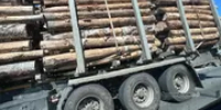 Житель Башкирии «наломал» дров на 370 тысяч рублей - Башинформ
