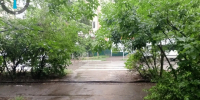 img - ЛДПР