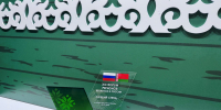 Фото: https://pnzreg.ru/ - Penza-Post.Ru