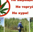 PNG Файл - ГУ МВД Красноярского края 