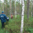 🌲 В Выксе спасли четырёх детей, заблудившихся в лесу - Выкса.РФ