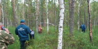 🌲 В Выксе спасли четырёх детей, заблудившихся в лесу - Выкса.РФ