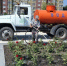 В курском парке «Патриот» высадили 450 роз и 90 кустов сирени - Sekunda.Media
