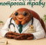 9dQWGKmNBUlPGqcmOt0sSMjqpI hcVAelWSXEFUeA3sH1op6C8Ljhor0eLSUWlJ4 w9Pd7EXHX3W5rTUpQknTRWU - НИА