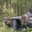photo - ОМЕДИА!