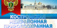 Природоохранная прокуратура информирует: Природоохранный прокурор Костромской области добился наказания за неисправные очистные - Газета Макарьевский вестник