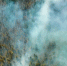 Фото: Castro and Schnaidt / Shutterstock/Fotodom - Красный Север