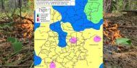 Сводка пожароопасности на 28.06.2026 - Министерство лесного хозяйства