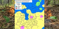 Сводка пожароопасности на 27.06.2026 - Министерство лесного хозяйства