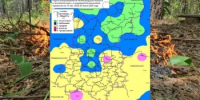 Сводка пожароопасности на 26.06.2026 - Министерство лесного хозяйства