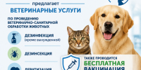 Нефтекамская межрайветстанция предлагает ветеринарные услуги - Администрация г. Нефтекамск