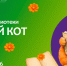 Южный кот: открытие! - ОДБ Тольятти