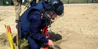Более двухсот пожаров потушили в Ростовской области за неделю - DonDay.Ru