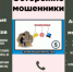 Главное о новых мошеннических схемах - Министерство транспорта и дорожного хозяйства