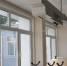 Новое оборудование при поддержке «Единой России» получают сотни школ Кузбасса - ГТРК Кузбасс
