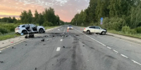 Лось перебежал дорогу ценой жизни костромича - Kostroma.Today