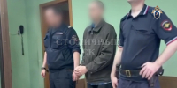 Арестован обвиняемый в убийстве сестры на востоке Москвы - Следственный комитет