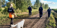 Воронежские волонтеры помогли найти 3-летнюю девочку, которая потерялась в поле с подсолнухами - РИА Воронеж