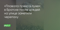 Поделитья во ВКонтакте - Братская Студия Телевидения