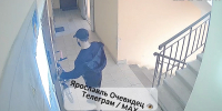 В Ярославской области «компашка домушников» организовала ночные вторжения и дневные преследования_318400 - YarCube.Ru