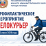 Госавтоинспекция Южного административного округа города Москвы проведет профилактическое мероприятие «Велокурьер» - Район Братеево