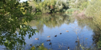 Три водоема разрешены для купания в Мордовии - Вестник Мордовии