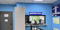 Тольяттинцы в Жигулевске украли мясо и технику - TLT.Ru