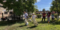 В Приволжском районе состоялся Детский Сабантуй - Приволжская газета