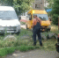 В Сеймском округе продолжаются плановые работы по благоустройству и содержанию придомовых территорий. - Город Курск