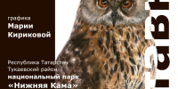 Лето с национальным парком «Нижняя Кама» - Национальный парк Нижняя Кама