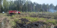 В Кинешемском районе произошел лесной пожар - Известно.ру
