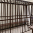 В Алтайском крае женщина заступилась за подругу и зарезала ее брата - Комсомольская Правда