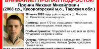 Еще один подросток пропал в Кесовогорском районе - Афанасий-биржа