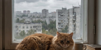 Сильные дожди и ненастье: преддверие июля не принесет в Татарстан тепло - ТРК Татарстан-Новый век
