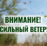 Вниманию горожан! Усиление ветра! - Администрация г. Тамбова