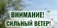 Вниманию горожан! Усиление ветра! - Администрация г. Тамбова