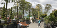 В Петербурге на Синем мосту прошел первый поэтический вечер «Стихоцветение» - Spbdnevnik.ru