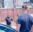 В Ростове мужчины подрались у автомойки за место и применили перцовый газ - Bloknot-Rostov.Ru