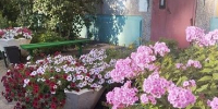 «Городские цветы» - ТОС Омска
